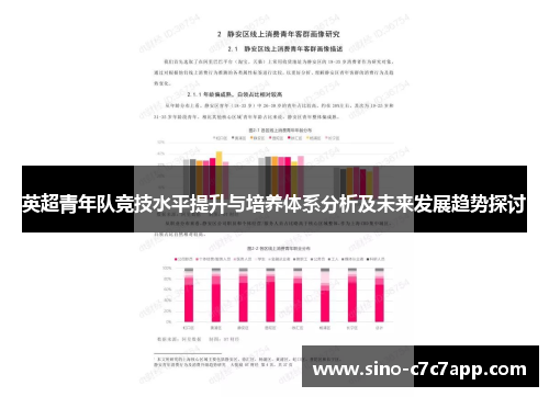 英超青年队竞技水平提升与培养体系分析及未来发展趋势探讨