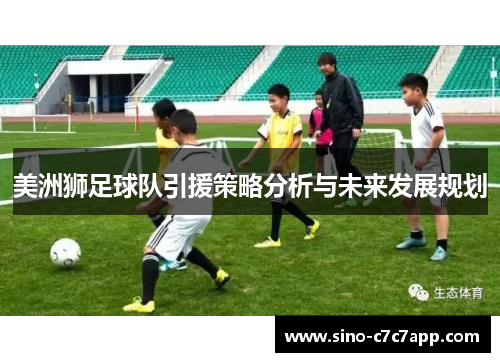 美洲狮足球队引援策略分析与未来发展规划