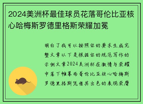 2024美洲杯最佳球员花落哥伦比亚核心哈梅斯罗德里格斯荣耀加冕